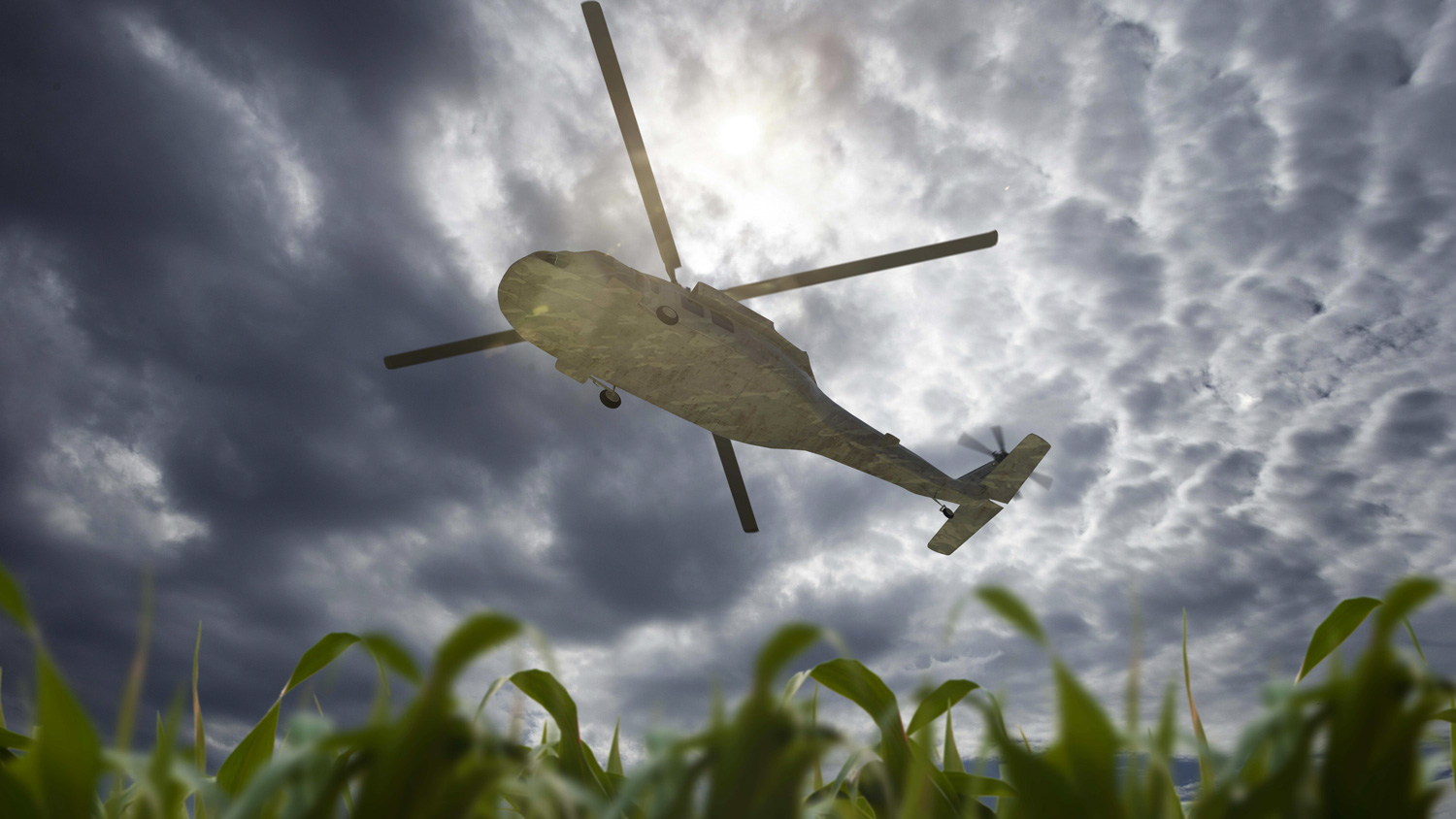 All You Need to Know About Air Ambulance Price